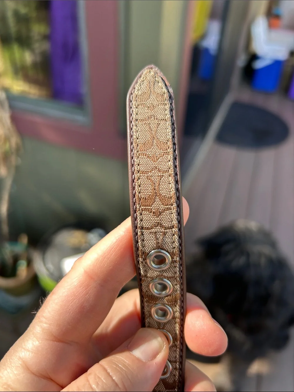 Coach Brown Signature Jacquard Pet Collar